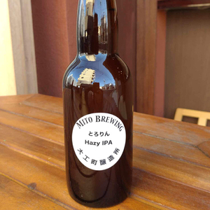 第１回水戸さきがけビジネス大賞 優秀賞受賞！【ぬりや】クラフトビール　6本詰め合わせ（GW-1）