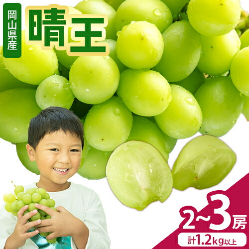 【2026年先行予約】シャインマスカット【晴王】 岡山県産 2～3房(計1.2kg以上) 株式会社Myself《2026年9月上旬-10月下旬頃出荷》マスカット 送料無料 岡山県 浅口市 ぶどう フルーツ 果物 贈り物 ギフト