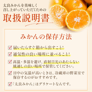 L-70 山本農園の早熟みかん ５ｋｇ　みかん ミカン 蜜柑 たらみかん 太良みかん 温州みかん 紅みかん 完熟みかん 甘熟 柑橘 国産 佐賀県産 太良町 こだわり 有機栽培 産地直送 贈答品 詰め合