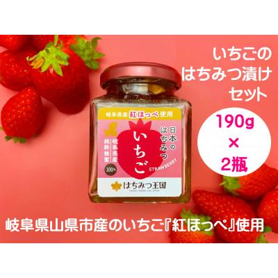 ふるさと納税 山県市 【まるごと岐阜県産】岐阜県産いちごはちみつ漬けセット 190g×2瓶<はちみつ王国>【岐阜県山県市】