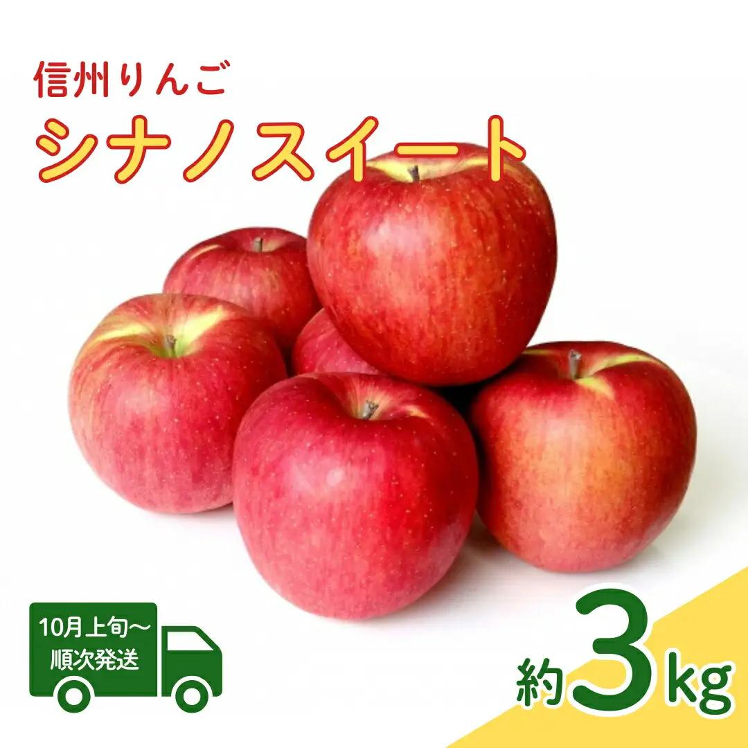 シナノスイート 約3kg| りんご りんご