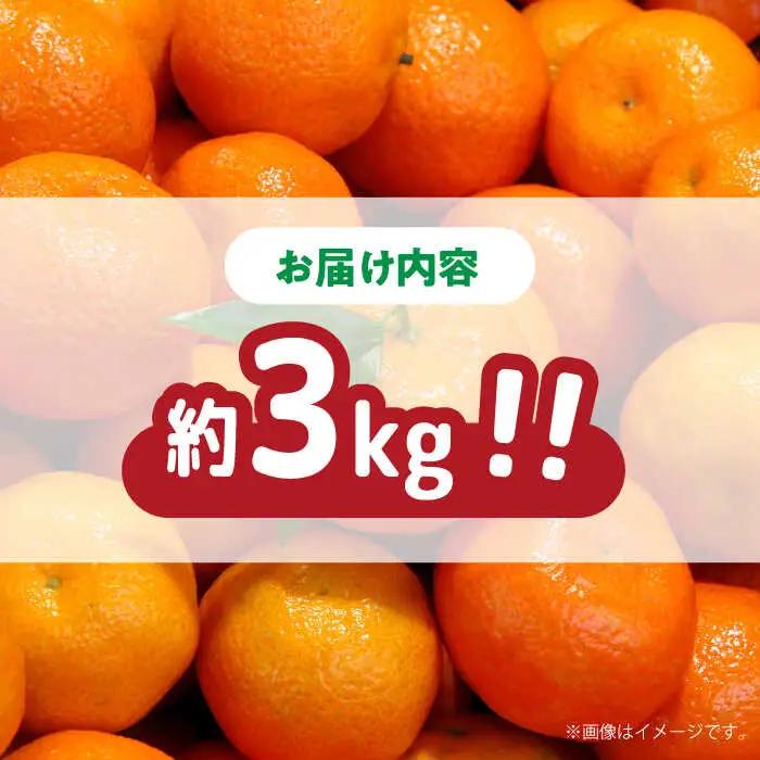 【2026年11月下旬-発送】【高糖度】温州みかん 約3kg / みかん ミカン 蜜柑 果物 フルーツ / 南島原市 / 南島原果物屋[SCV021]