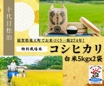 【 新米予約 】 コシヒカリ  白米 5kg x 2袋 縁起の竜王米 ( 令和6年産 先行予約 新米 こしひかり ｺｼﾋｶﾘ こしひかり ｺｼﾋｶﾘ こしひかり ｺｼﾋｶﾘ こしひかり ｺｼﾋｶﾘ こしひかり ｺｼﾋｶﾘ こしひかり ｺｼﾋｶﾘ ) こしひかり ｺｼﾋｶﾘ こしひかり ｺｼﾋｶﾘ こしひかり ｺｼﾋｶﾘ こしひかり ｺｼﾋｶﾘ こしひかり ｺｼﾋｶﾘ こしひかり ｺｼﾋｶﾘ こしひかり ｺｼﾋｶﾘ こしひかり ｺｼﾋｶﾘ こしひかり ｺｼﾋｶﾘ こしひかり ｺｼﾋｶﾘ こしひかり ｺｼﾋｶﾘ