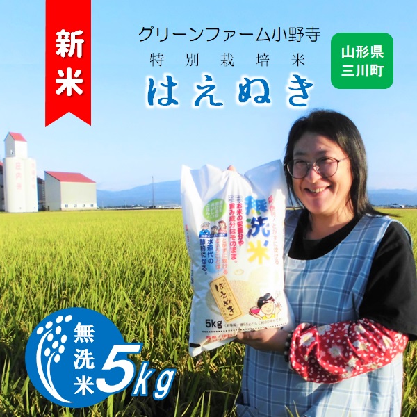 【令和8年産】《無洗米》グリーンファーム小野寺のはえぬき5kg　※10月中旬頃から順次配送予定 [PO1-004(GF小野寺)] 《無洗米》はえぬき5kg　￥15,000
