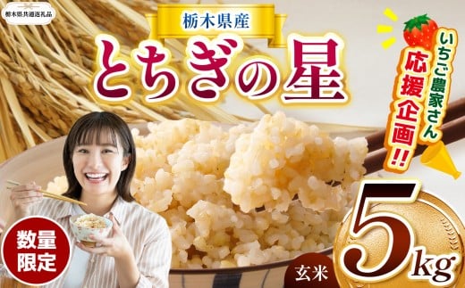 【栃木県共通返礼品】 数量 限定 令和7年度産 とちぎの星 約 5kg | とちぎの星 ミルキークイーン にじのきらめき 玄米 白米 ごはん おいしい  ふるさと納税 栃木県 那珂川町 送料無料