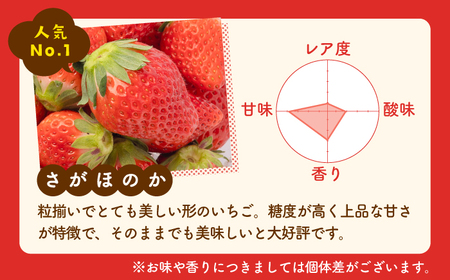 【先行予約】【農家直送】淡雪＆さがほのか 赤白いちごセット計200g（化粧箱入り）  /赤いちご 白いちご 紅白いちご 赤白いちご 甘〜いいちご 化粧箱入りいちご 食べ比べいちごパック イチゴ 苺  