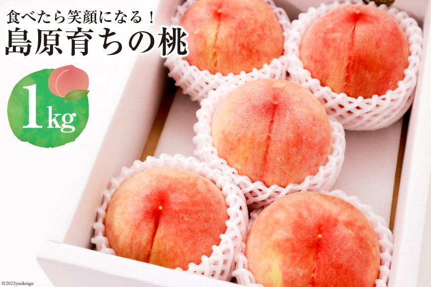 
            CG090【令和7年度出荷分】食べたら笑顔になる！島原育ちの桃 1kg＜数量限定＞
          