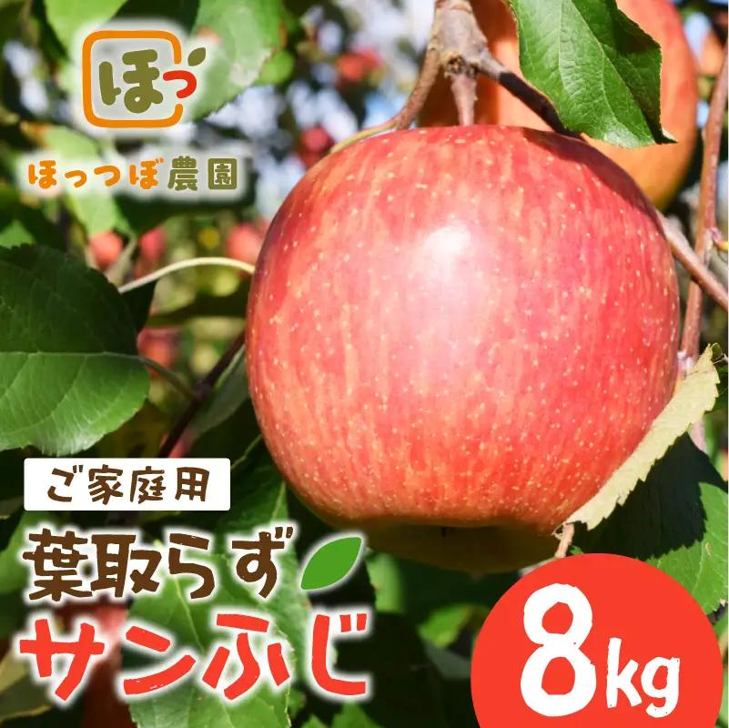 先行予約 りんご 家庭用 サンふじ 8kg りんご