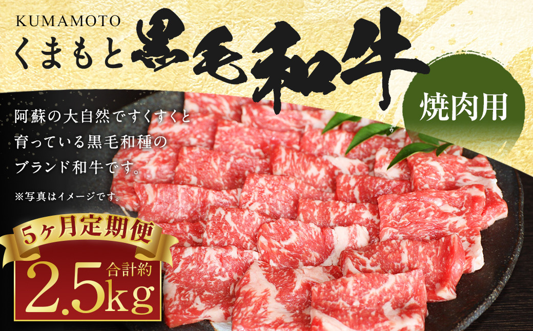 
【定期便5回】くまもと 黒毛和牛 焼肉用 約500g
