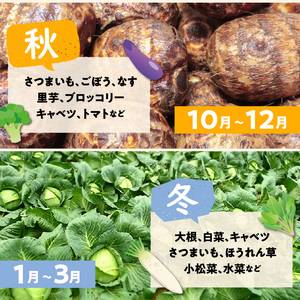 京丹後産・旬の野菜 5～8種詰め合わせ（小）（2024年1月中旬～発送）　 野菜セット／野菜詰め合わせ　少量　お試し