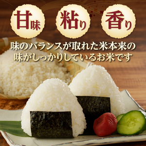 【令和7年度新米】山梨・北杜　米物語(12品種白米アソートセット) 米 12品種 白米 アソートセット 安心 安全 農薬不使用 化学肥料不使用 山梨県 北杜市