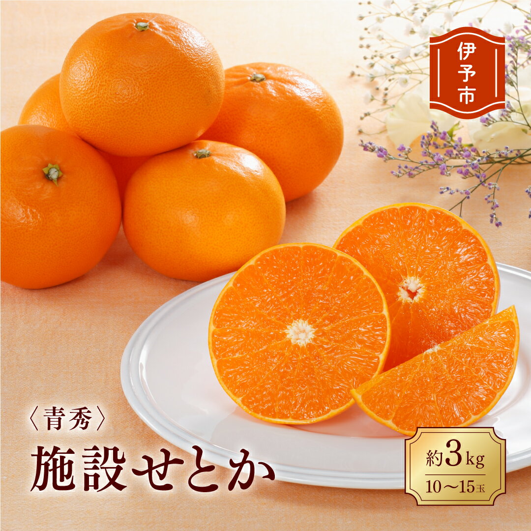 【ふるさと納税】みかん 愛媛 せとか（施設）青秀 約3kg L～3L（15玉～10玉） 【2026年1月中旬から順次発送予定】 人気 数量限定 柑橘 伊予市｜B170