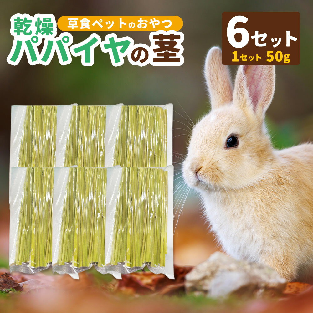 【ふるさと納税】乾燥パパイヤの茎 50g（約20本～30本）×6セット（うさぎ等、草食の小動物のおやつ） ペット うさぎ ウサギ ハムスター モルモット チンチラ 小動物 草食動物 おやつ 無添加 無着色 パパイヤ 茎 乾燥 国産 送料無料 静岡県 菊川市