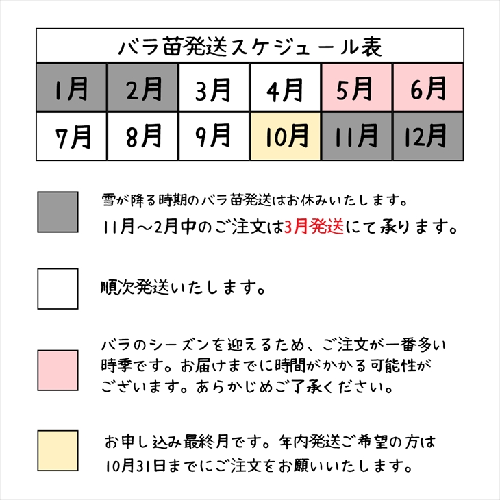 <園長セレクト♪>花巻温泉バラ園で育った「バラ中苗」5号サイズ -園長におまかせ-<2026年3月より発送> 【1856】