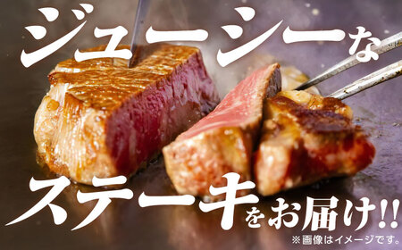 【超希少部位】佐賀牛ヒレステーキ 800g[UBD005] 佐賀牛 佐賀牛ヒレ 牛肉 肉 佐賀牛ステーキ 佐賀牛フィレ 佐賀牛フィレステーキ 佐賀牛希少部位 佐賀牛赤身