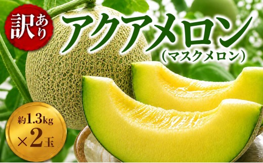 メロン 訳あり 通年発送 アクアメロン 約1.3kg × 2玉 青肉 メロン めろん マスクメロン 果物 フルーツ 温室メロン メロン めろん 蜜入り 果汁たっぷり 高糖度 ギフト フルーツギフト 温室栽培 贈答用 果物 お取り寄せ 戸田メロン 千葉 東金