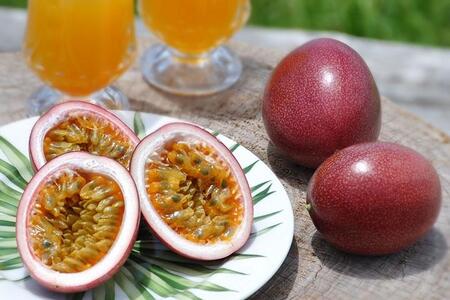 【2026年発送分 先行受付】パッションフルーツ 化粧箱12個入(L玉)【たけはら農園】|パッションフルーツ 果物 くだもの