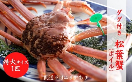 
タグ付き 松葉蟹 （ボイル）特大1匹分[№5716-0440]
