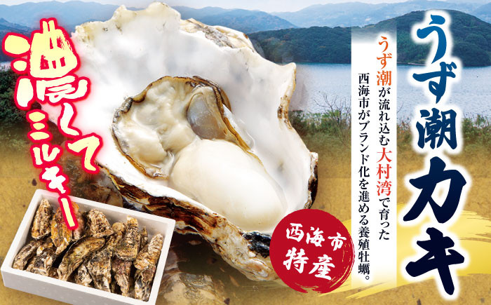 うず潮 カキ 3kg ナイフ付き