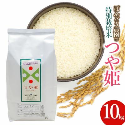 ふるさと納税 鶴岡市 【令和7年産】山形県鶴岡産特別栽培米 つや姫 白米 精米 10kg[K-777]