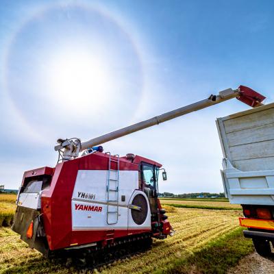 ふるさと納税 沼田町 【令和7年産新米】ゆめぴりか 玄米 10kg(5kg×2袋) 雪冷気 籾貯蔵 北海道 雪中米 |  | 02