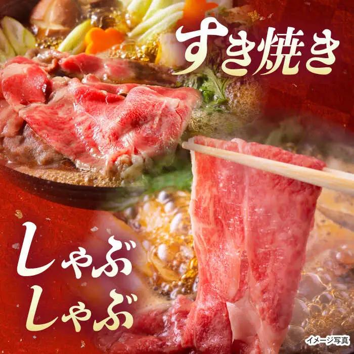 長崎県産黒毛和牛切り落とし 720g（360×2） [JGF001]和牛