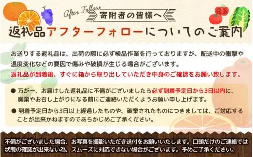 たねなし柿 2.5kg 厳選 / 柿 刀根早生 平核無柿 富有柿 ※2026年9月下旬から11月上旬に順次発送 ※北海道・沖縄・離島への配送不可  【ikd504-p-2d5】