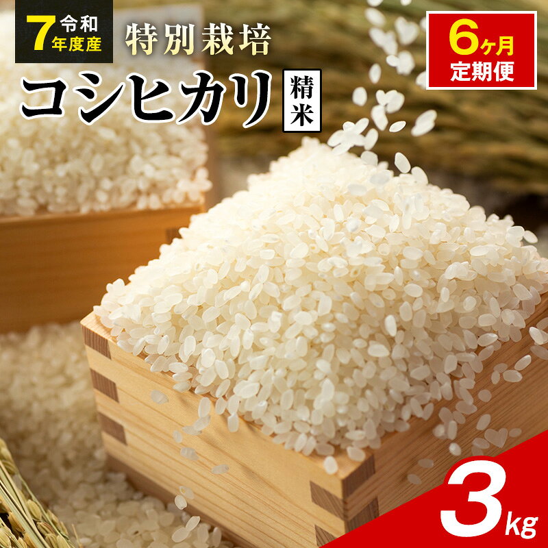 【ふるさと納税】令和7年産 特別栽培米 コシヒカリ 白米 3kg 静岡県産 色彩選別済 食に意識高い方へオススメ 6ヶ月定期便