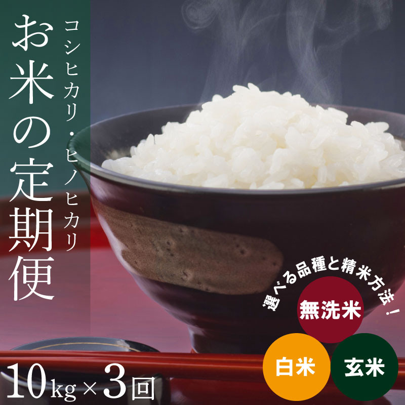 
定期便 3回 米 選べる品種 コシヒカリ ヒノヒカリ 10kg 令和6年度 米 こめ ご飯 ごはん おにぎり 白米 精米 卵かけご飯 食品 備蓄 備蓄米 保存 防災 ギフト 贈答 プレゼント お取り寄せ グルメ 送料無料 徳島県 阿波市 栗栖農園
