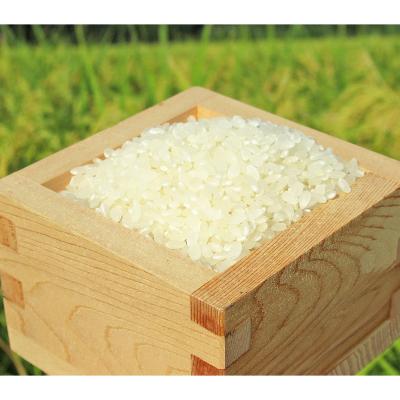 ふるさと納税 長浜市 滋賀県産 低農薬栽培 ミルキークイーン 白米5kg 令和7年産 |  | 01