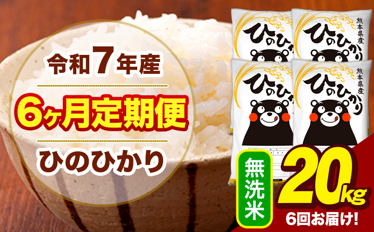 令和7年産 【6ヶ月定期便】 無洗米 米 ひのひかり 20kg《お申込み翌月から出荷》熊本県 大津町 国産 熊本県産 無洗米 送料無料 ヒノヒカリ こめ お米---hn7tei_255000_20kg_mo6_oz_m---