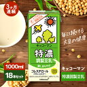 【ふるさと納税】キッコーマン 特濃調製豆乳1000ml 18本セット 1000ml 3ケースセット 【3カ月連続】　定期便・瑞穂市　お届け：寄附金のご入金確認の翌月以降、初回発送から3ヶ月連続でお届けします。