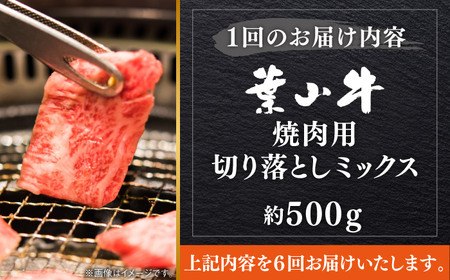 【全6回定期便】葉山牛500g　焼肉用ミックス 牛肉（ロース、モモ、カルビ等） 食べ比べ[ASBD029]