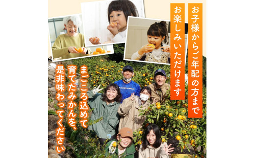 家庭用 清見オレンジ 4kg / 清見 みかん 晩柑 人気 柑橘  蜜柑 フルーツ 果物 くだもの 食品 人気 送料無料 産地直送 和歌山県 由良町  ※2月下旬～3月下旬頃に順次発送予定【kzmn0