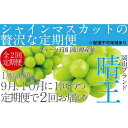 【ふるさと納税】ぶどう 2025年 先行予約 9月・10月発送 シャイン マスカット 晴王 1房 約600g×2回 ブドウ 葡萄 岡山県産 国産 フルーツ 果物 ギフト