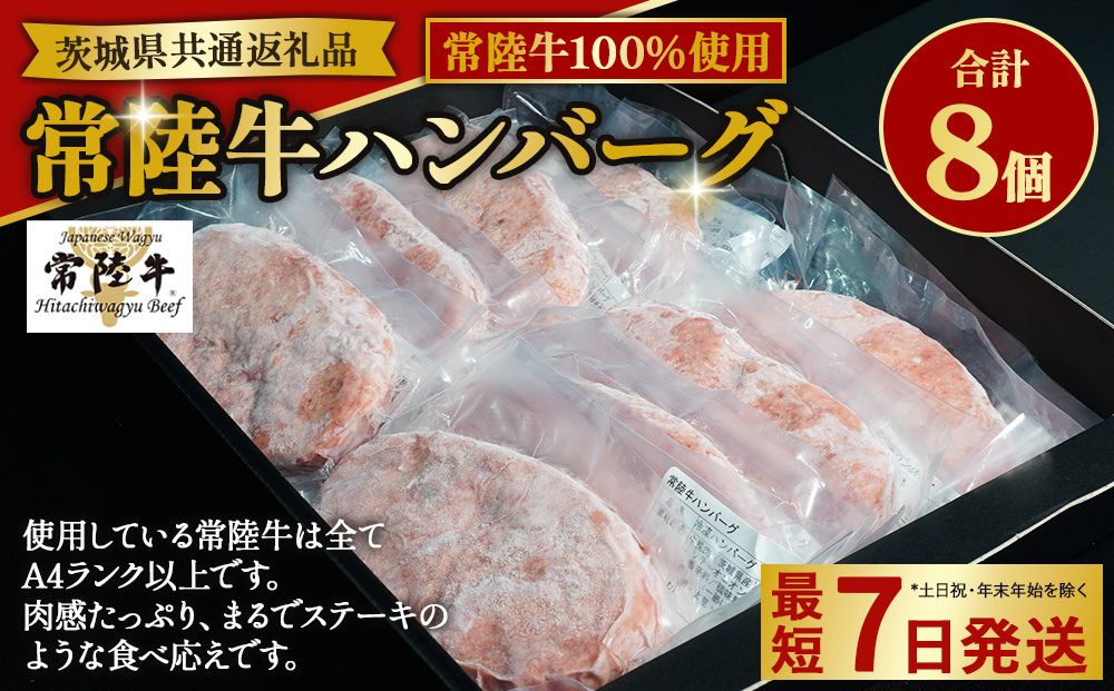 【常陸牛100%】ハンバーグ8個（ソース付）（茨城県共通返礼品）