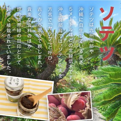 ふるさと納税 和泊町 沖永良部島の伝統的な発酵調味料「奄美そてつ味噌130グラム」3個セット |  | 01