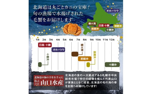 【北海道産】『冷凍』毛ガニ400g前後×2杯【急速冷凍】
