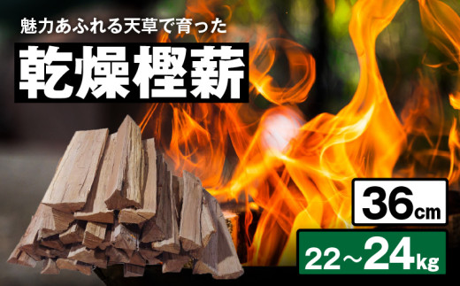 S163-002_魅力あふれる天草で育った乾燥樫薪（天樫　長さ36cm　22～24kg）