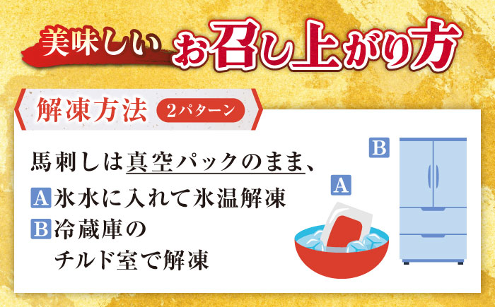 熊本肥育 馬刺し 赤身 500g 専用醤油付き 熊本 冷凍 馬肉 馬刺 ヘルシー【肉のみやべ】[YAC002]