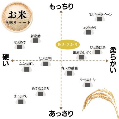 ふるさと納税 東広島市 【定期便】令和7年産 10kg 【6ヵ月連続お届け】 計60kg 広島県産 あきさかり 厳選 |  | 02