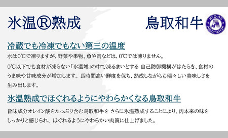 ＜大山物語＞氷温熟成 鳥取和牛100％手造りハンバーグ 100g×6