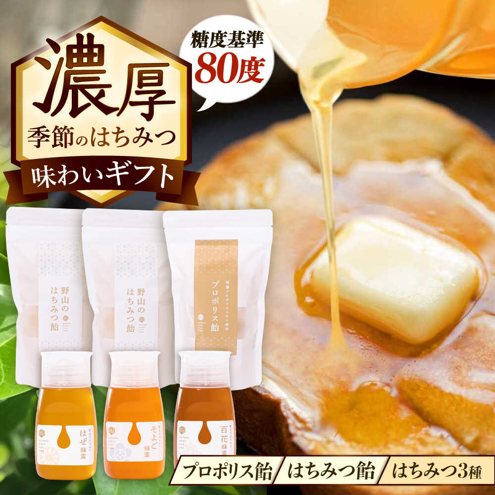 【ふるさと納税】東美濃厳選 季節のはちみつ たっぷり味わいギフト 瑞浪市 / 堀養蜂園 蜂蜜 飴 セット 国産[AZCF004]