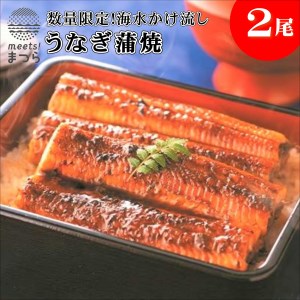 数量限定！海水かけ流しうなぎ蒲焼2尾【B5-102】