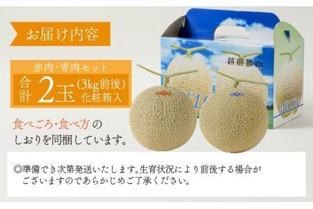 勝山産アールスメロン 2個入り（赤肉・青肉セット） ※2026年7月下旬以降順次発送 [A-060007]