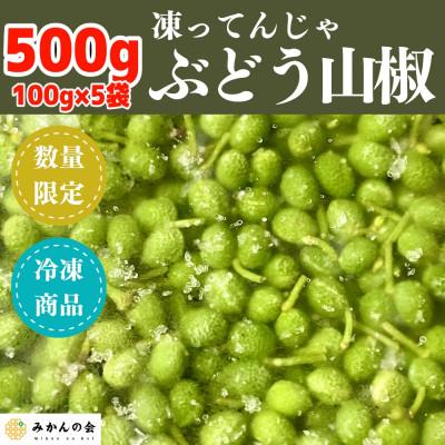 ふるさと納税 有田川町 冷凍山椒 凍ってんじゃ ぶどう山椒 500g ( 100g × 5袋 ) 和歌山県産 産地直送
