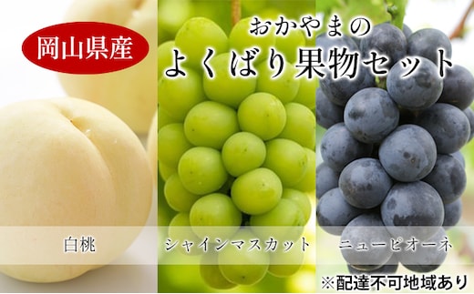 
										
										桃 ぶどう 2024年 先行予約 よくばり 果物 セット 岡山 白桃 2玉 合計600g以上 シャイン マスカット 2房 合計1.2kg以上 ニュー ピオーネ 2房 合計1kg以上 岡山県産 国産 フルーツ 果物 ギフト
									