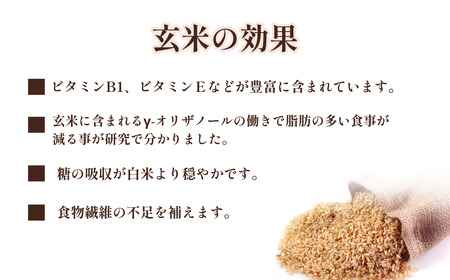 令和7年産 宇部市小野 大山産 玄米20kg | 玄米 20kg