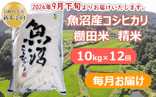 S302P284 【令和6年産 新米予約】魚沼産コシヒカリ・棚田米 白米10kg×12回（毎月）早期受付 2024年9月下旬頃より発送開始 白米 魚沼 米