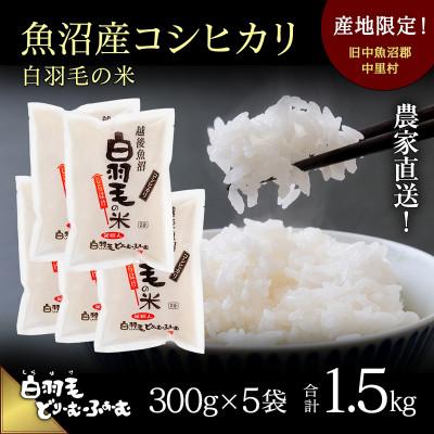 ふるさと納税 十日町市 令和7年産　農家直送!魚沼産コシヒカリ「白羽毛の米」精米(300g×5袋)1.5kg